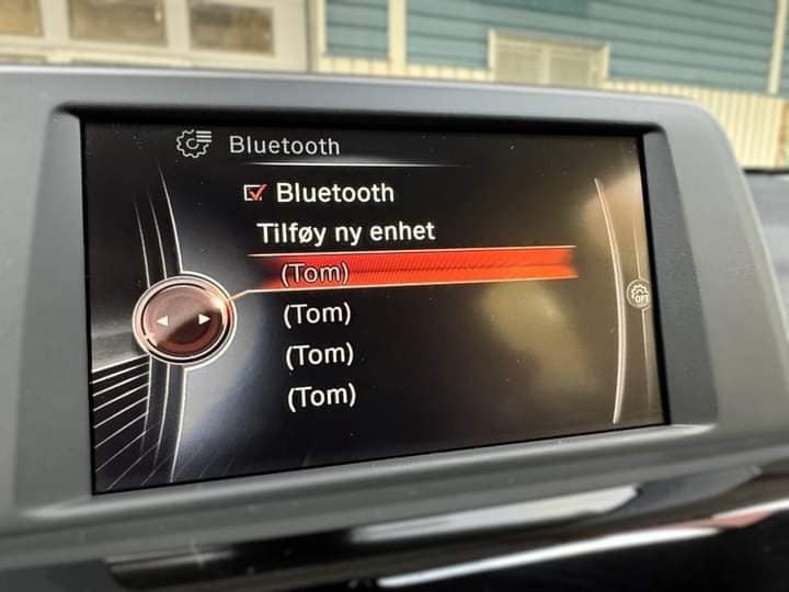 BMWX1